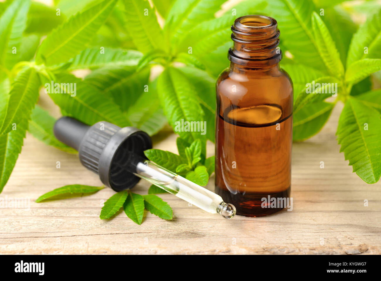 L'huile essentielle de Verveine citronnelle et compte-gouttes en verre sur la planche de bois Banque D'Images