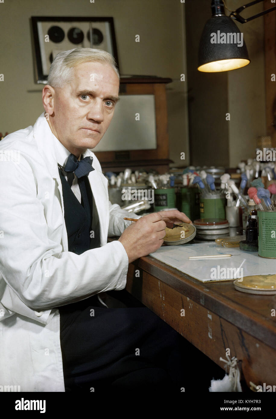 Alexander Fleming, la production synthétique de la pénicilline le Professeur Alexander Fleming, qui fut le premier à découvrir le moule la pénicilline Notatum Banque D'Images
