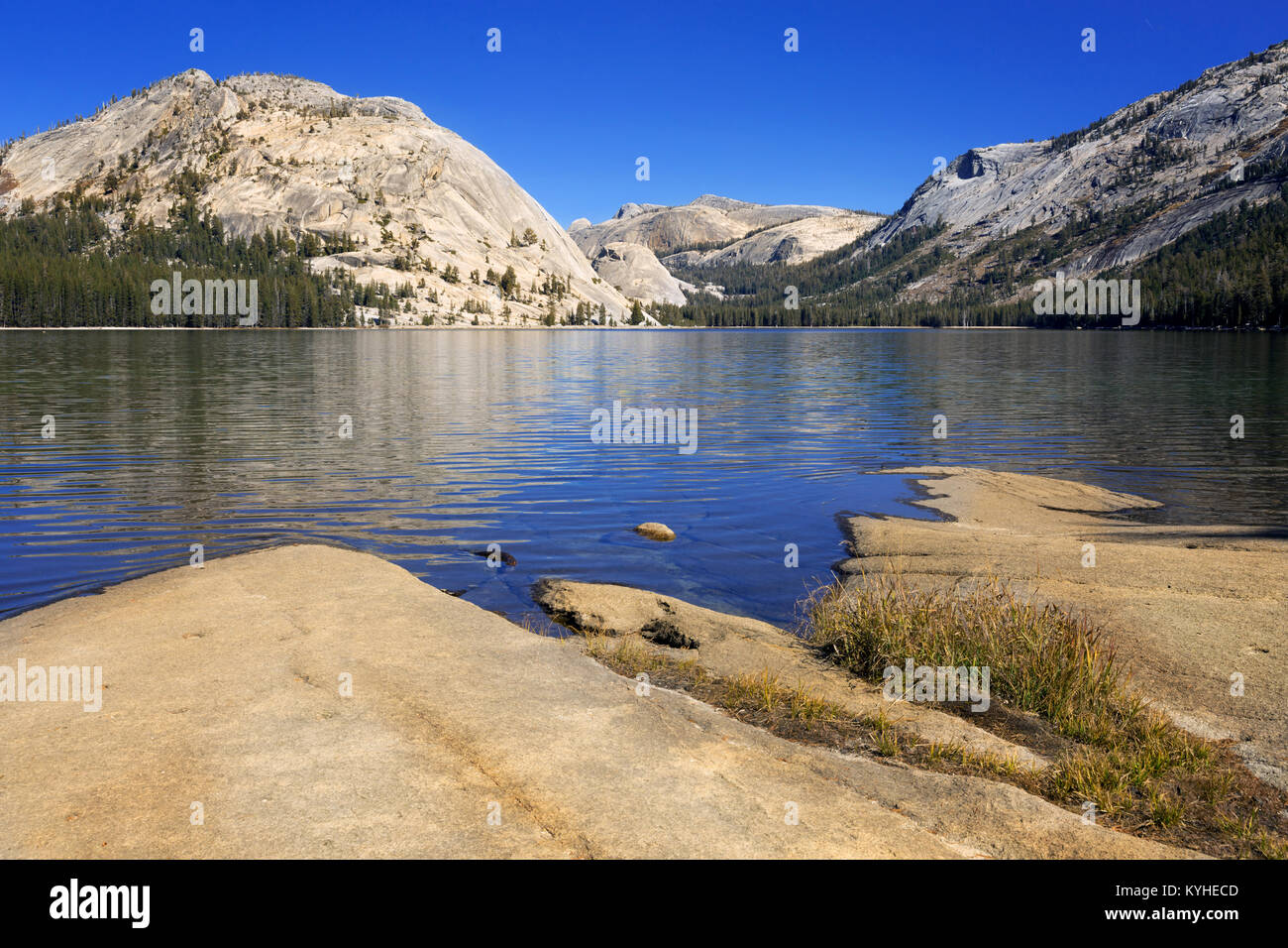 Lac Tenaya, Yosemite National Park, Californie Banque D'Images