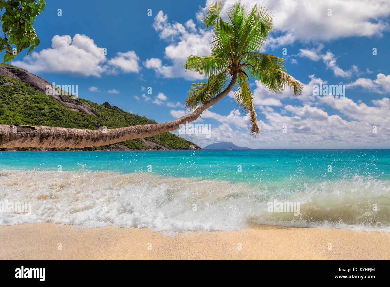 La plage de sable tropicale avec palmiers. Banque D'Images