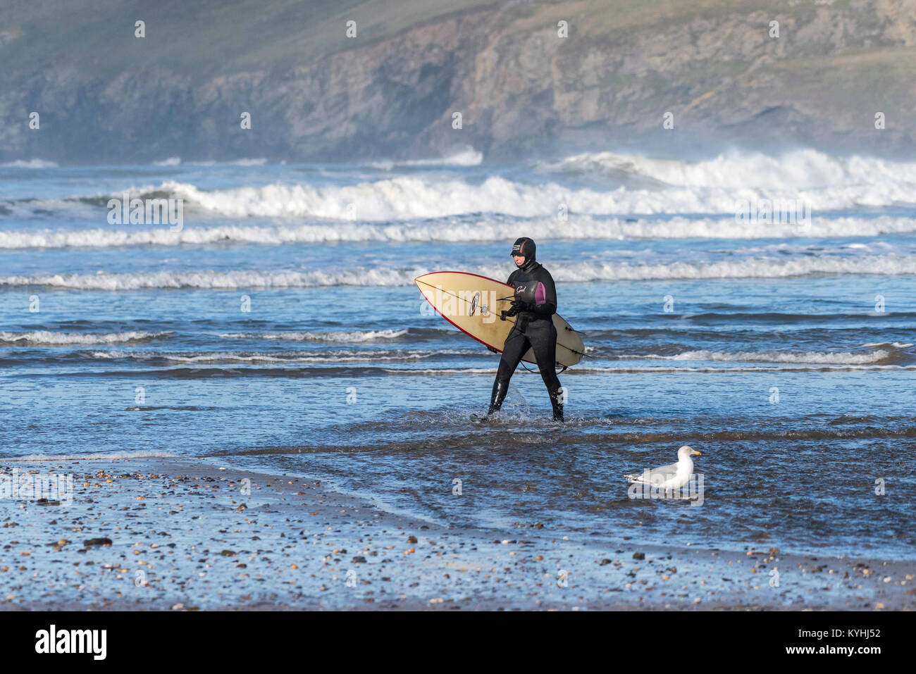 Polzeath surfer - un surfeur sortant de la mer sur la plage de Polzeath sur la côte nord des Cornouailles. Banque D'Images