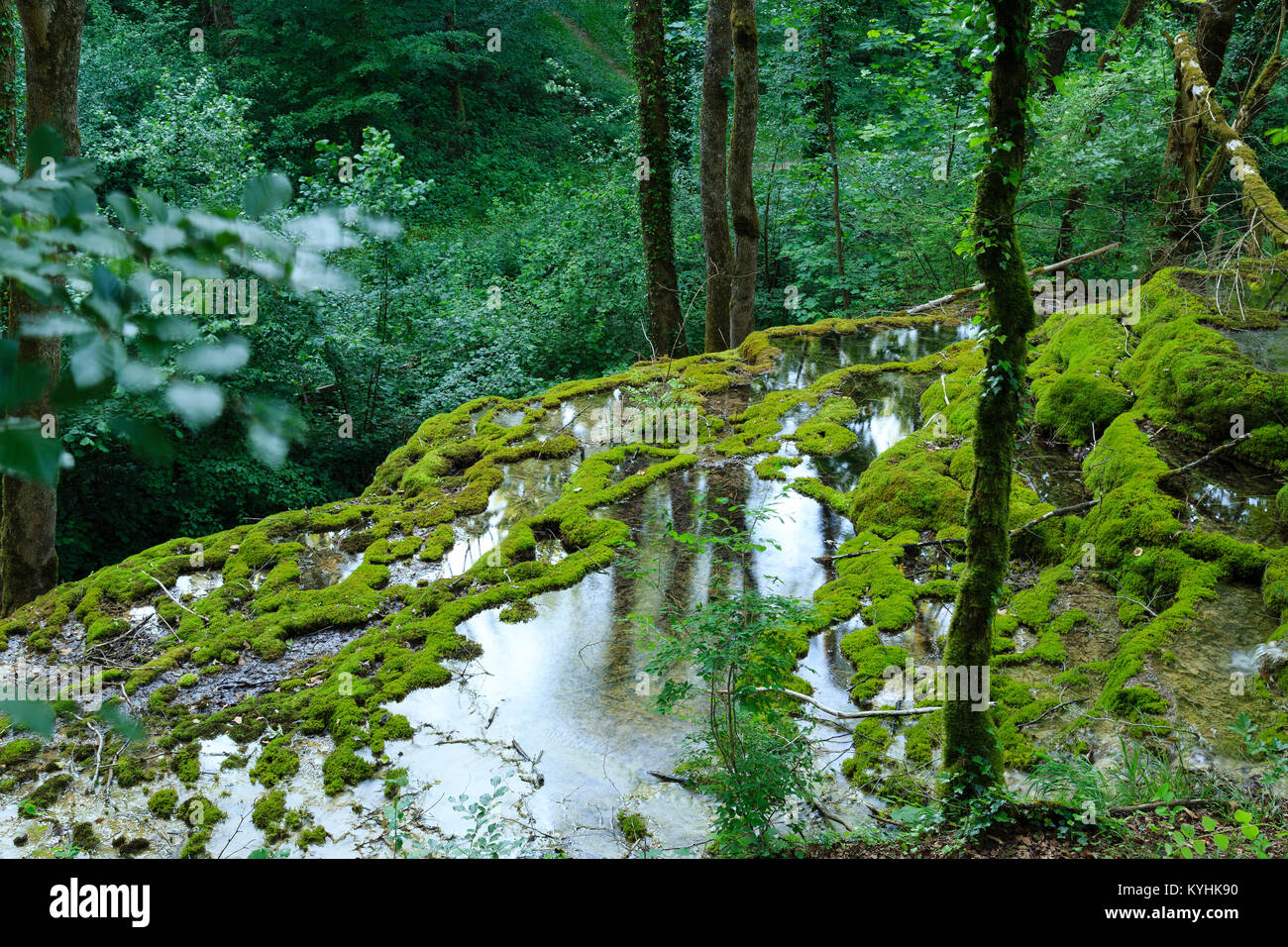 France, Haute-Marne (52), Rolampont, la tuffière de Rolampont // France, Haute-Marne, Rolampont, le Rolampont Tuffiere Banque D'Images