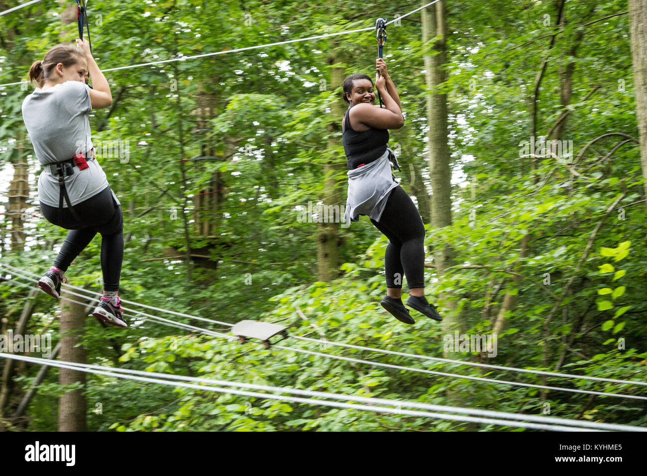 Go Ape Enfield, Trent Country Park, London Borough of Enfield, au nord de Londres UK Banque D'Images