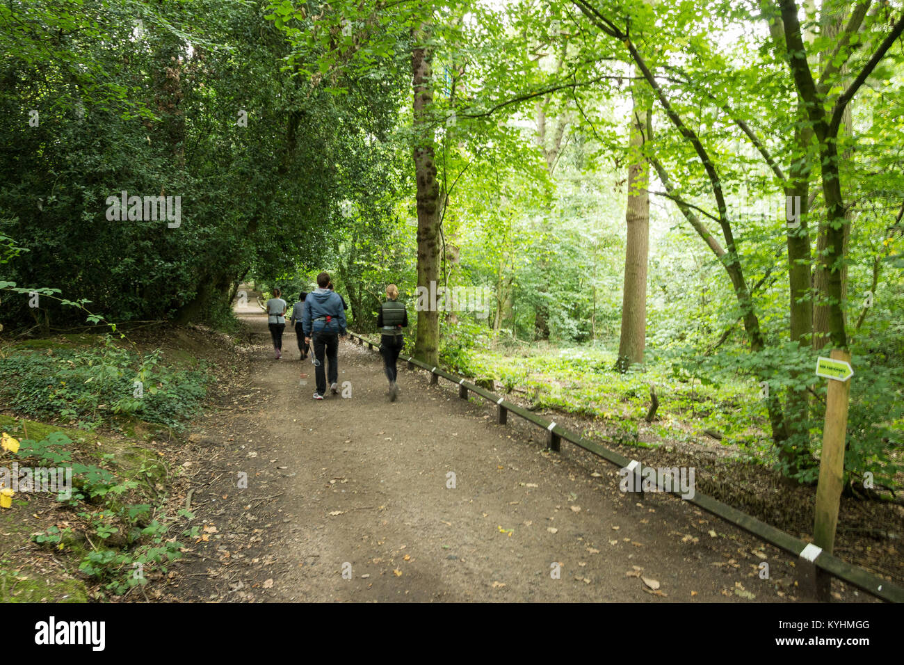 Pays Trent Park, district londonien d'Enfield, au nord de Londres UK Banque D'Images