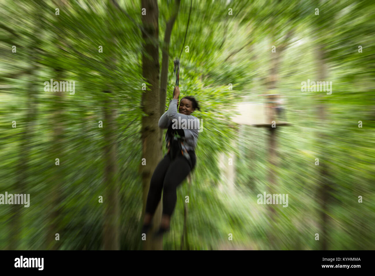Go Ape Enfield, Trent Country Park, London Borough of Enfield, au nord de Londres UK Banque D'Images