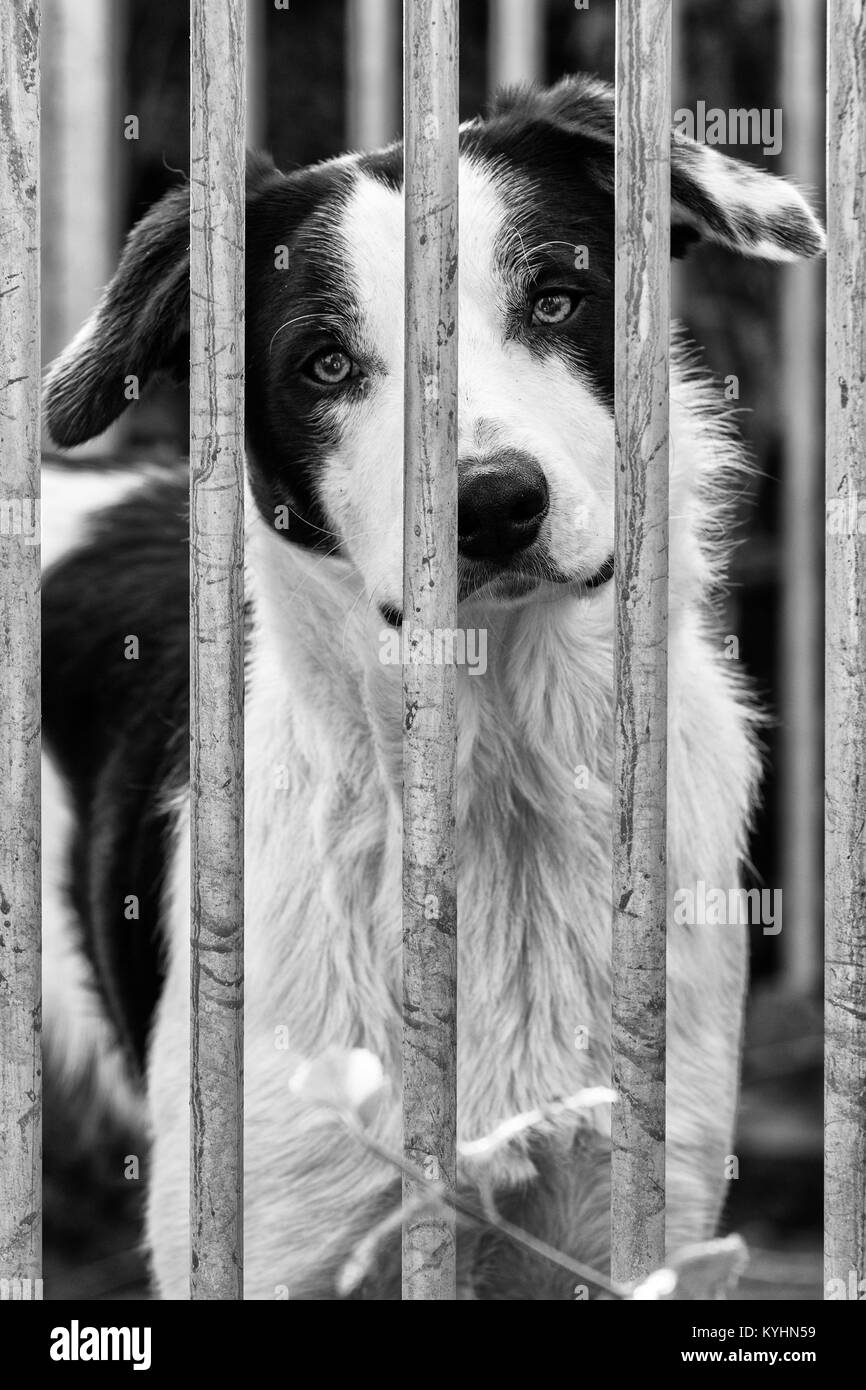 Les Yeux doux Banque D'Images