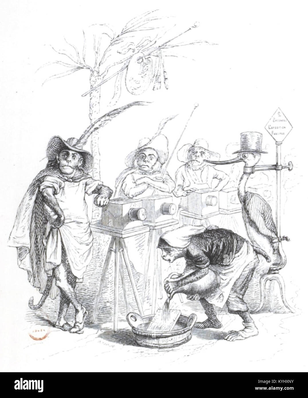 Le volume 2 de *scènes de la vie privée et publique des animaux* illustre le comportement animal dans des environnements naturels et influencés par l'homme, montrant les interactions, les schémas sociaux et les activités quotidiennes de diverses espèces. Banque D'Images