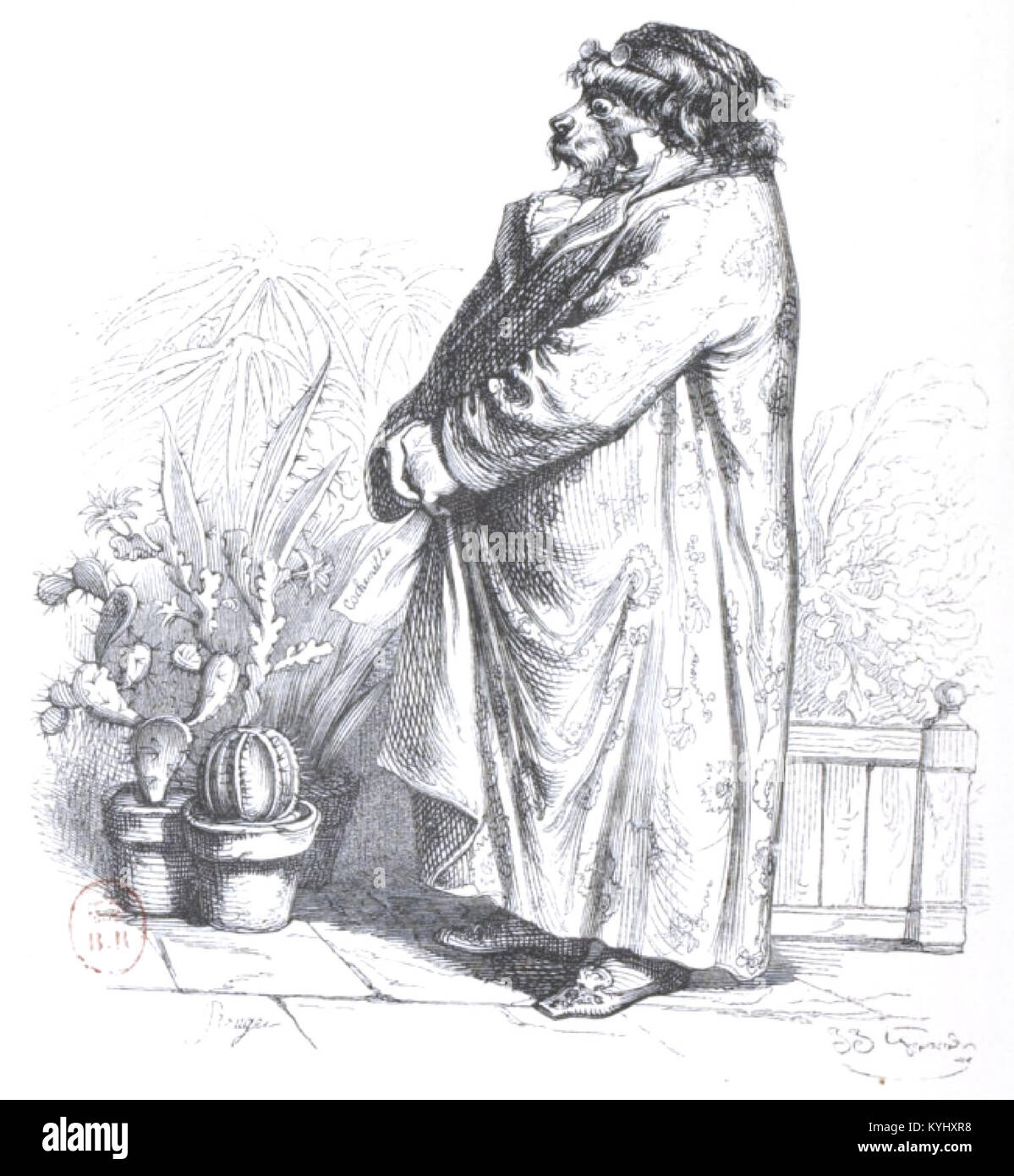 Le volume 2 de « scènes de la vie privée et publique des animaux » illustre les comportements animaux, les interactions sociales et l'adaptation environnementale, montrant la faune dans des contextes naturels et influencés par l'homme. Banque D'Images