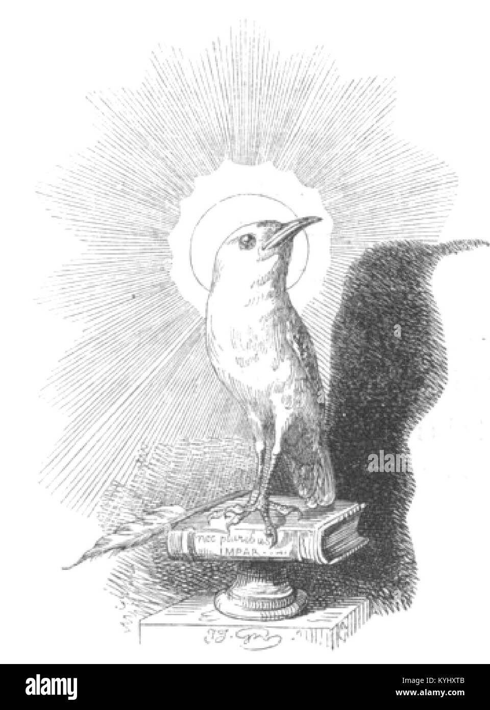 Le volume 2 de « scènes de la vie privée et publique des animaux » illustre les comportements des animaux dans les milieux domestiques et sauvages, y compris l'alimentation, l'interaction sociale et le mouvement. Banque D'Images