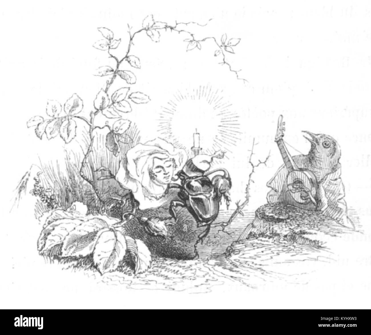 Ce livre, « scènes de la vie privée et publique des animaux, volume 2 », examine les structures sociales animales, le comportement et les interactions dans différents écosystèmes. Banque D'Images