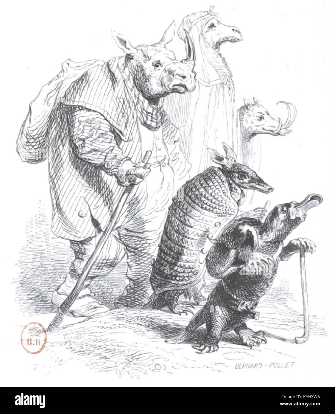 Cette illustration du volume 2 met en évidence le comportement social des animaux, l'alimentation, le toilettage, le mouvement et les interactions dans les environnements naturels et domestiques. Banque D'Images