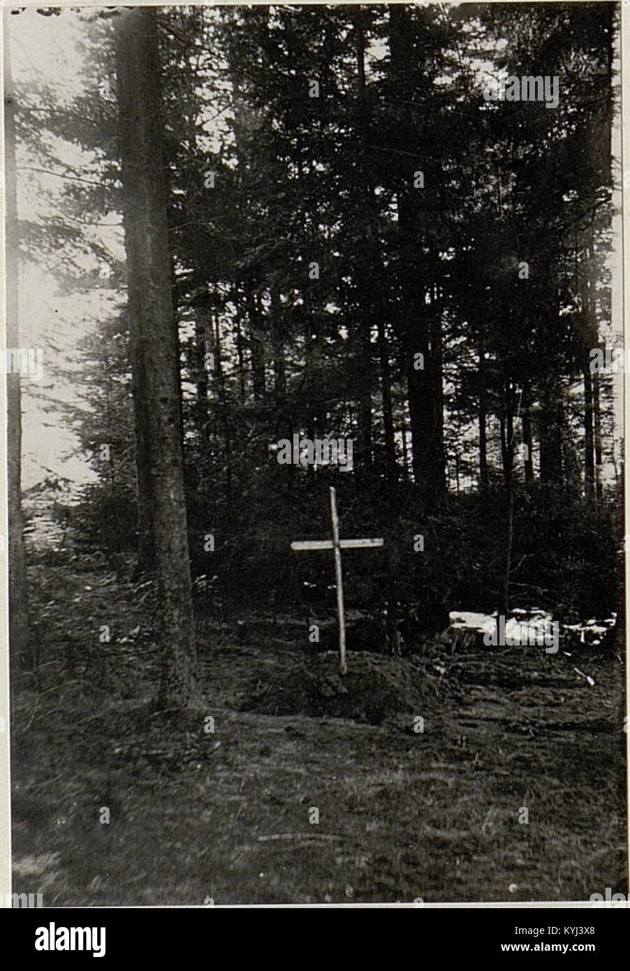 Tombes de soldats dans une forêt au nord de l'ouest de Strzegowa, Pologne, représentant des sépultures militaires historiques et l'importance du site dans les conflits passés. Banque D'Images