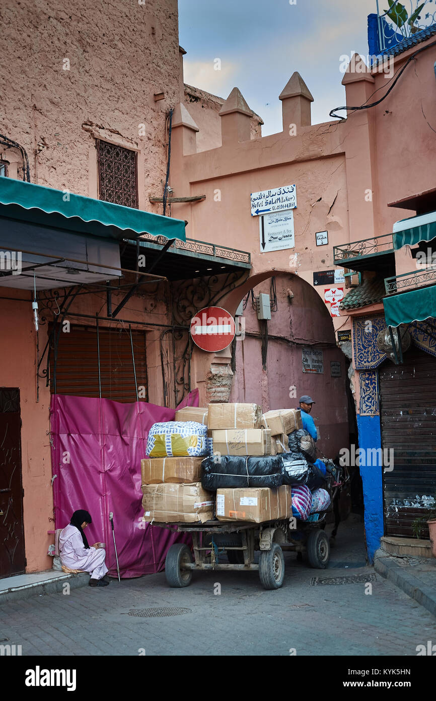 Panier marocain tiré par mule à Medina, Marrakech, Maroc Banque D'Images