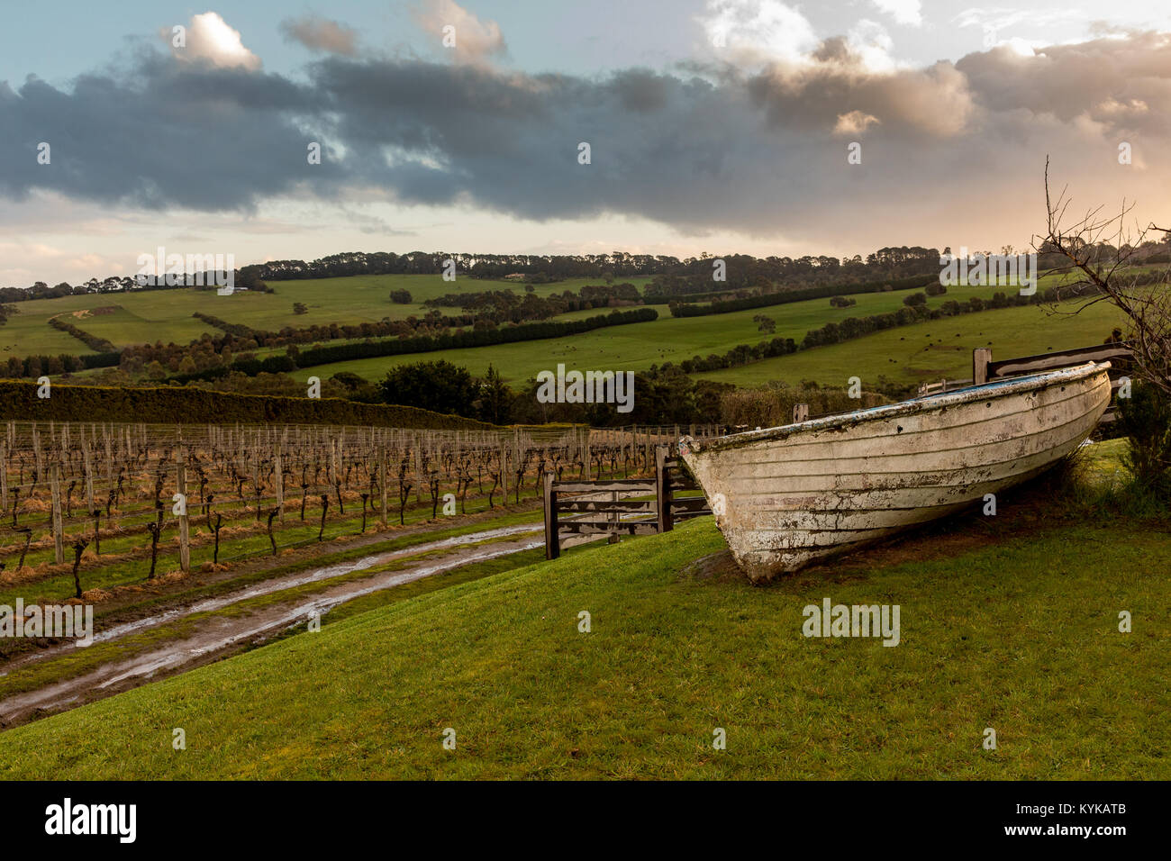 Vignoble australien avec bateau en premier plan Banque D'Images
