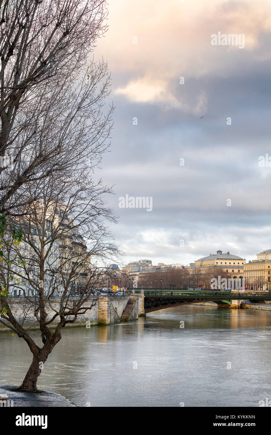 Paris dans la belle aube lumière pastel. Vue sur Seine, bâtiments, grand arbre au premier plan. Banque D'Images