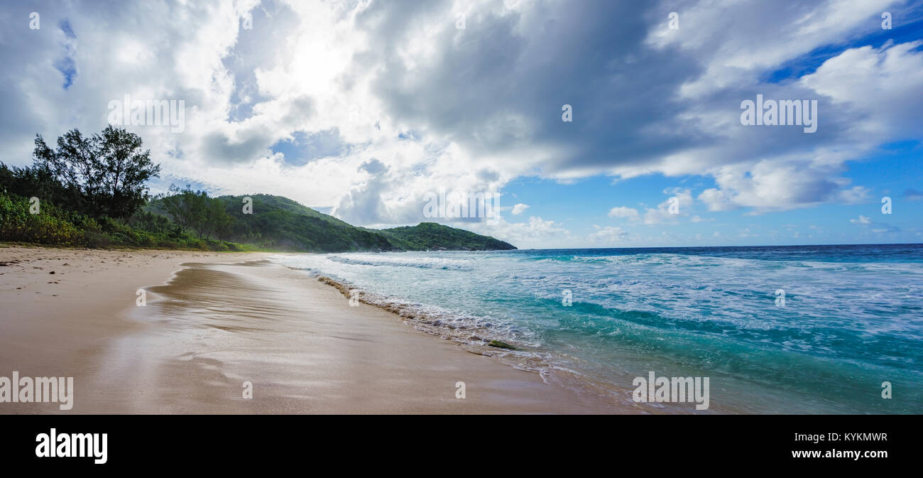 Wild plage tropicale avec palmiers dans une jungle, le sable et une mer rugueuse à la baie de la police sur les seychelles sur un jour nuageux Banque D'Images