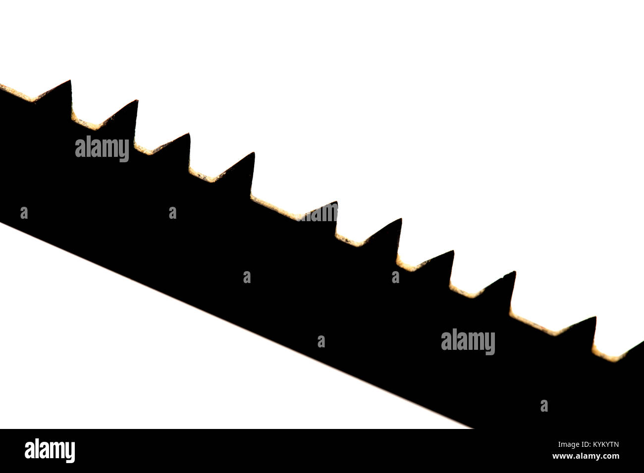 Silhouette d'un sharp vu de bois, gros plan Banque D'Images