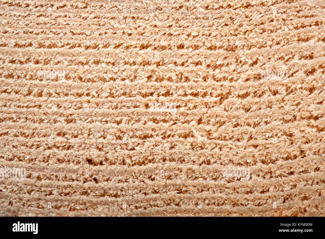 Bois coupé dans hafl, Close up abstract shot Banque D'Images