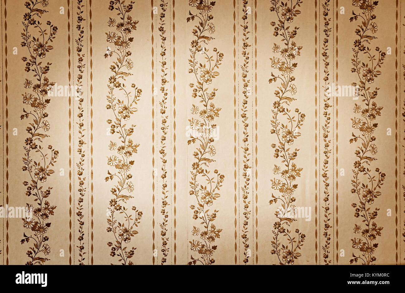 Vieux papier peint beige Banque D'Images