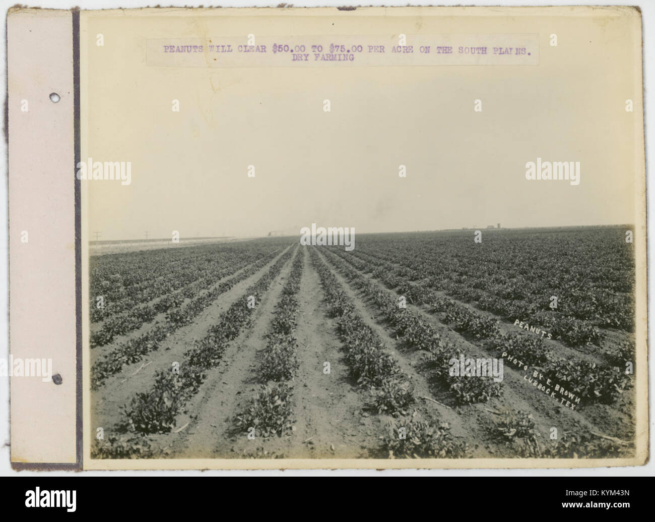 Une image vintage liée à la bande dessinée populaire « Peanuts », mettant en vedette des personnages de la série emblématique. Cette photo reflète l'impact culturel de la bande dessinée sur les médias et la société américaine. Banque D'Images