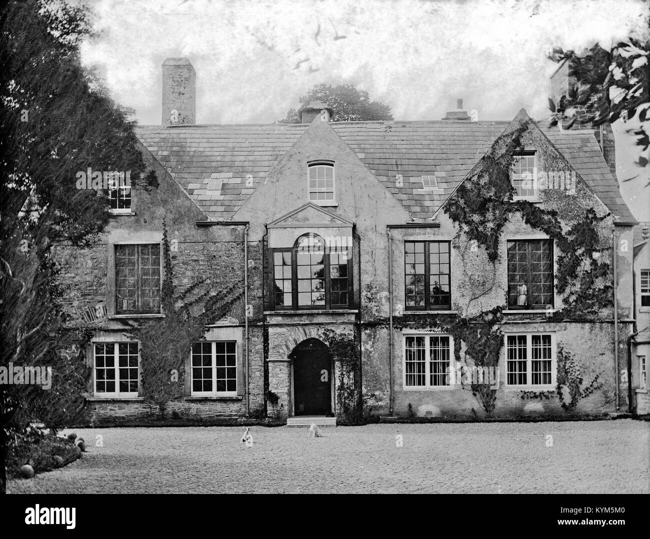 Cette photographie de A.H. Poole montre le chalet de Youghal, comté de Cork, autrefois la résidence de Sir Walter Raleigh, capturant l'architecture de style Tudor et le contexte historique de la propriété. Banque D'Images