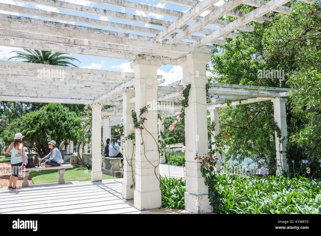 Buenos Aires Argentina,Bosques de Palermo,Parque 3 de Febrero,Rosedal,roseraie,pergola,colonne,banc,hispanique,ARG171119077 Banque D'Images