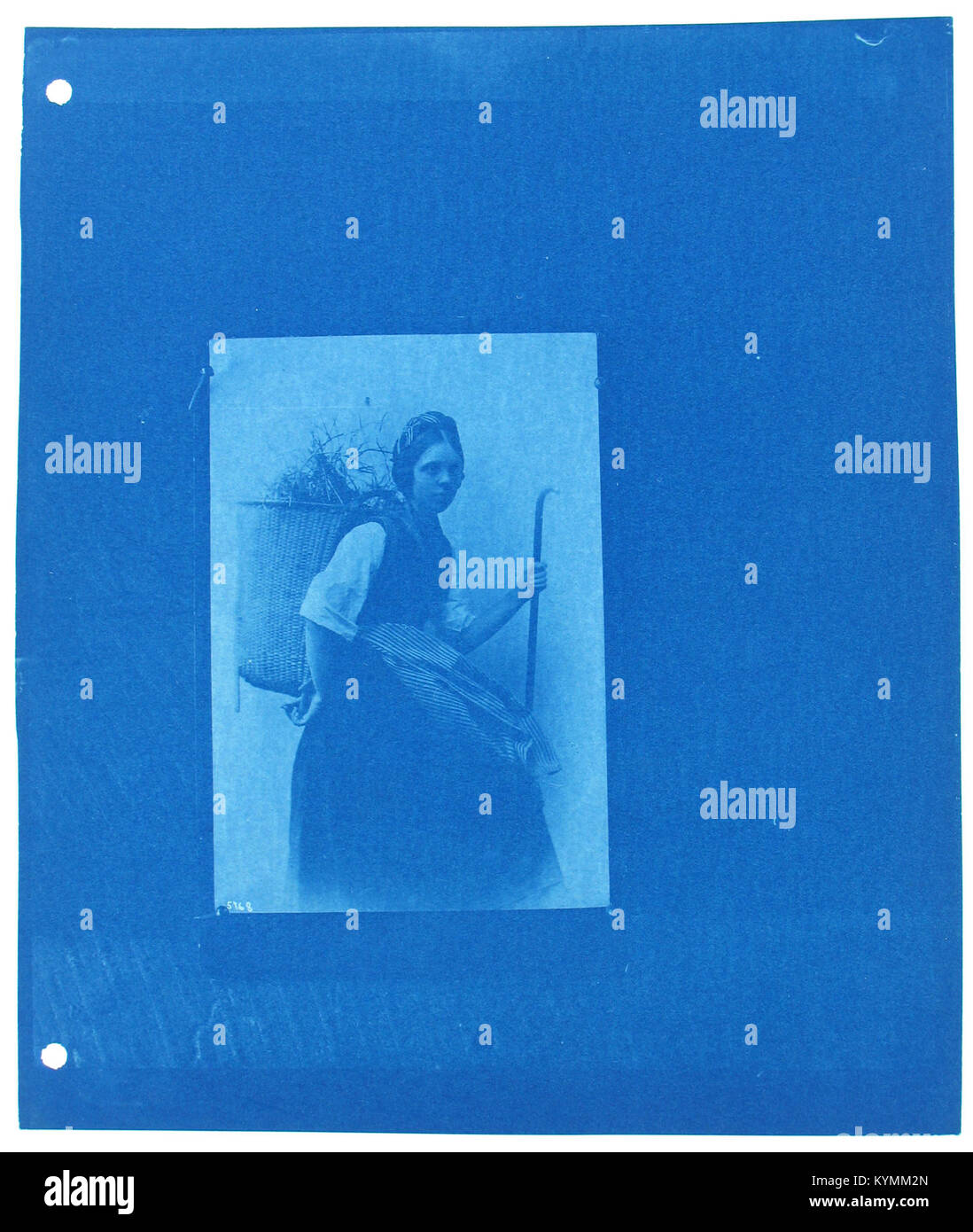 Une photographie cyanotype précoce, qui fait partie des archives de la Smithsonian institution, montre une femme portant un panier. Cette photographie historique représente les premières photographies documentaires et études anthropologiques du XIXe siècle. Banque D'Images