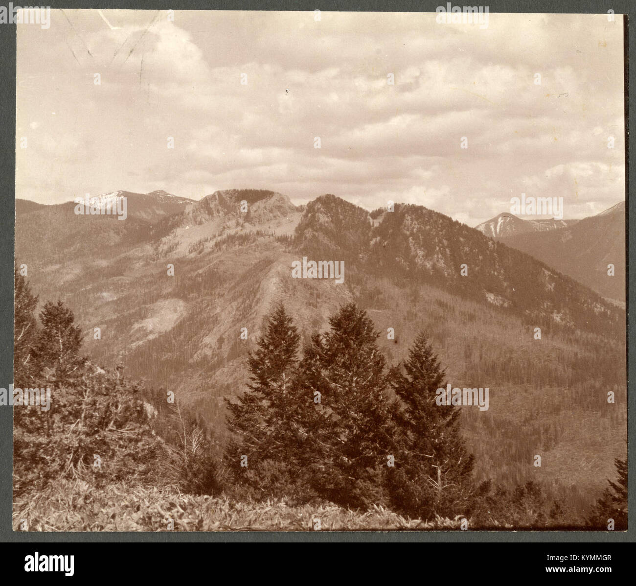Illustration historique de l'anticline de Jumbo Mountain et de Spring Creek, qui fait partie du projet Field Book. Cette image est archivée par la Smithsonian institution, mettant en évidence les caractéristiques géologiques de la région. Banque D'Images