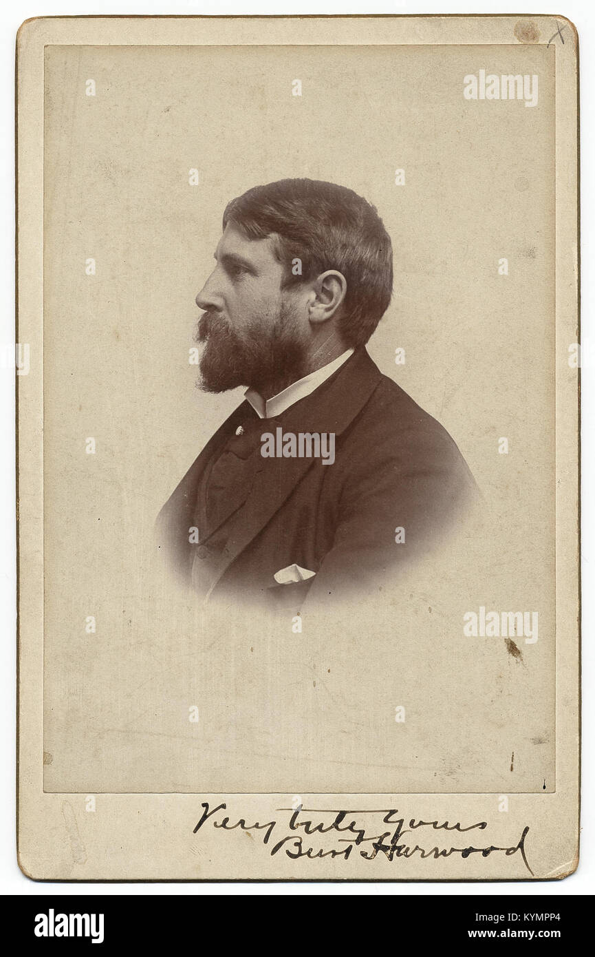 Une photographie historique de Burt Harwood, prise en 1890, le montrant avec une barbe et une moustache. Cette photo de cabinet fait partie de la collection Archives of American Art, capturant un portrait réaliste. Banque D'Images