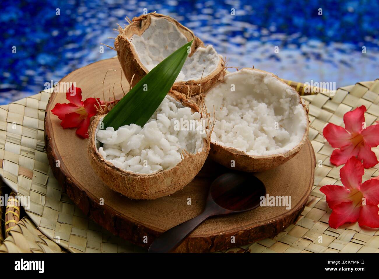 Kelapa Kopyor, le genre de rares fruits de noix de coco noix de coco qui donne une délicatesse traditionnelle ; pâte à Java Banque D'Images