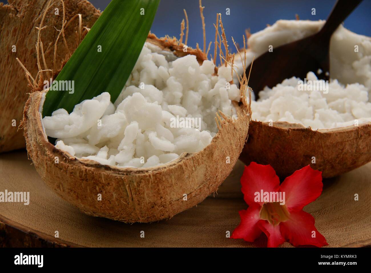 Kelapa Kopyor, le genre de rares fruits de noix de coco noix de coco qui donne une délicatesse traditionnelle ; pâte à Java Banque D'Images