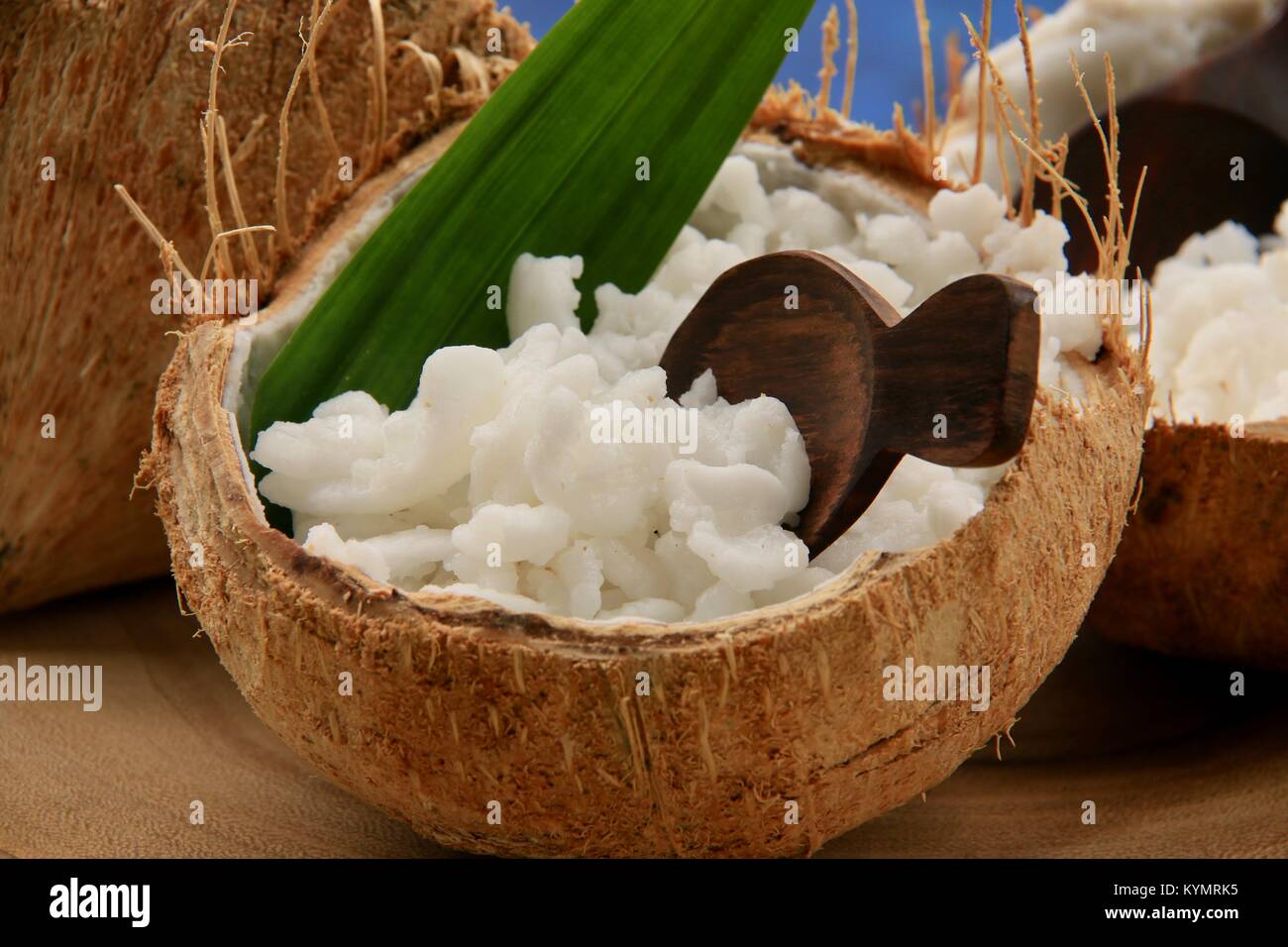 Kelapa Kopyor, le genre de rares fruits de noix de coco noix de coco qui donne une délicatesse traditionnelle ; pâte à Java Banque D'Images