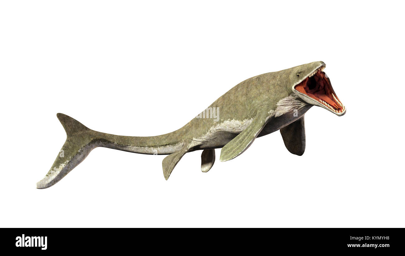 Liopleurodon géant éteint, lézard aquatique (3d illustration isolé sur fond blanc) Banque D'Images