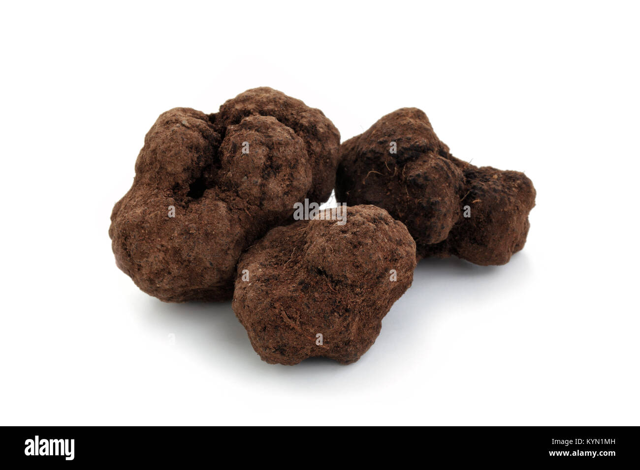 Libre tourné de truffes noires isolé sur fond blanc. Banque D'Images