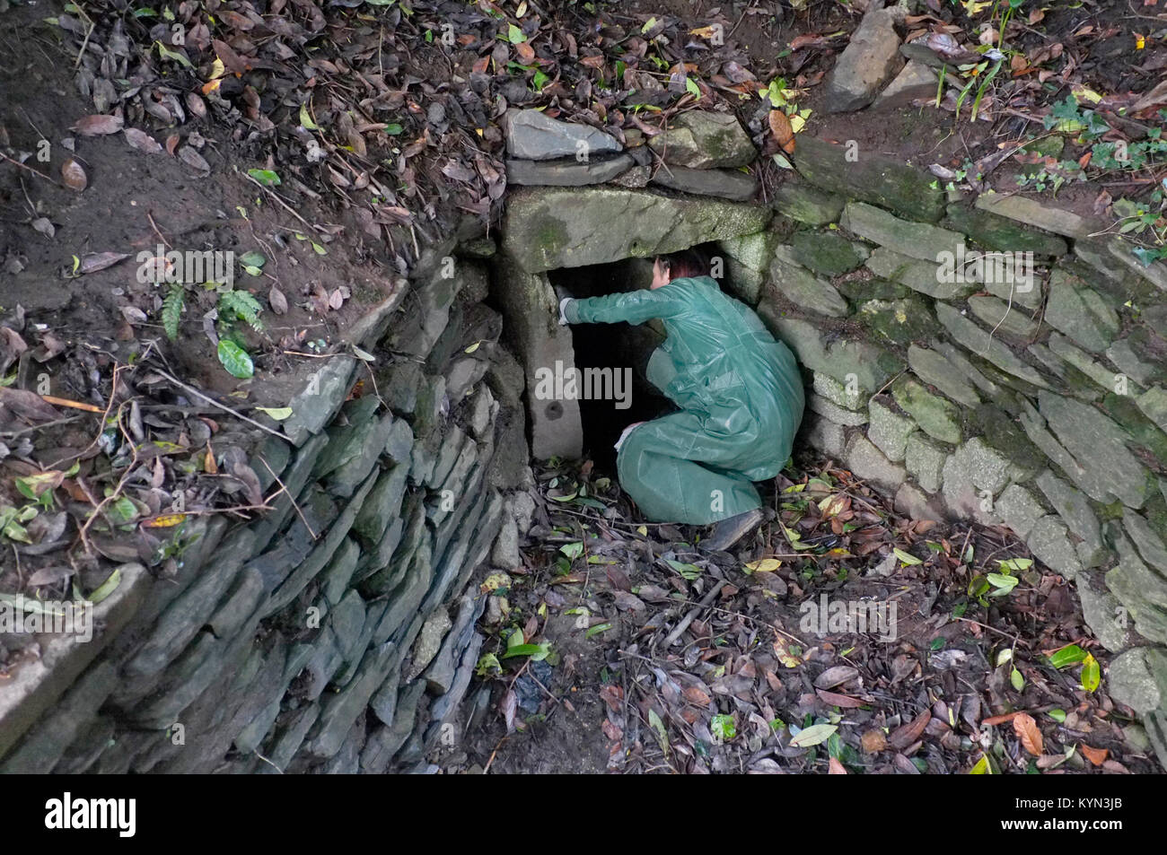 Une femme pairs dans un puits sacré, qui a été préservé sur un lotissement à Penryn, Cornwall Banque D'Images Une femme pairs dans un puits sacré, qui a été préservé sur un lotissement à Penryn, Cornwall Banque D'Images