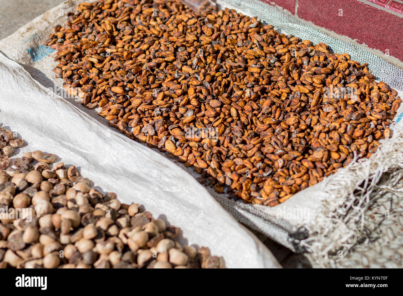 Les fèves de cacao d'autres épices de sécher dans la rue dans le soleil de midi. Banque D'Images