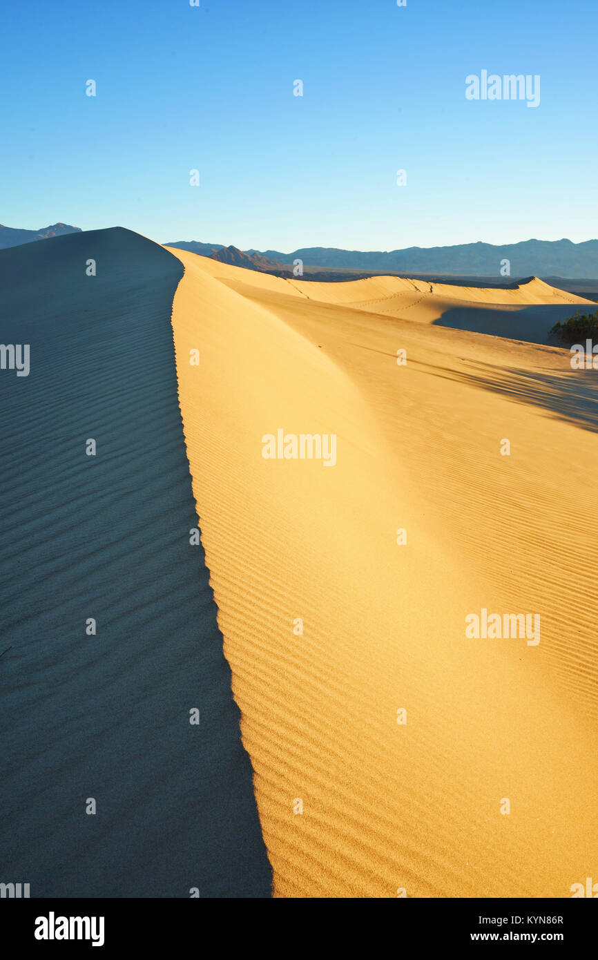 Lever de soleil à Death Valley National Park sand dunes Banque D'Images