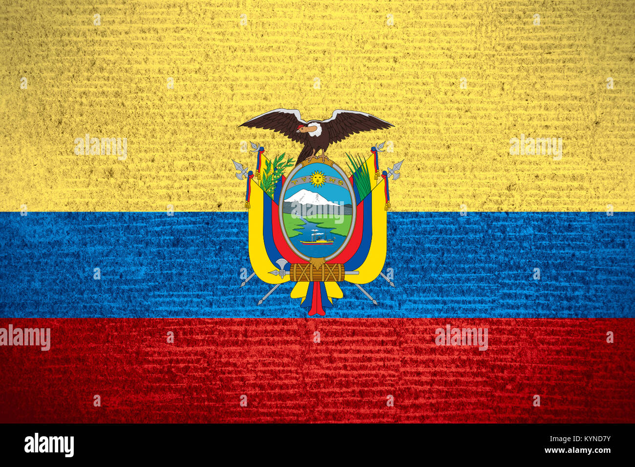 Drapeau de l'Equateur ou bannière sur équatorienne texture modèle de ligne Banque D'Images