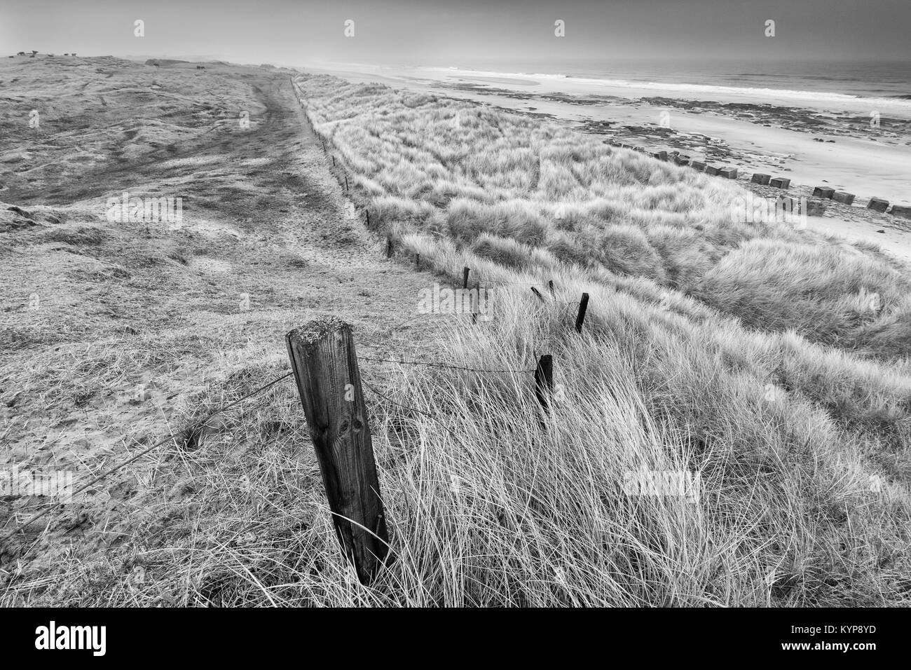Vieille Clôture Banque D'Images