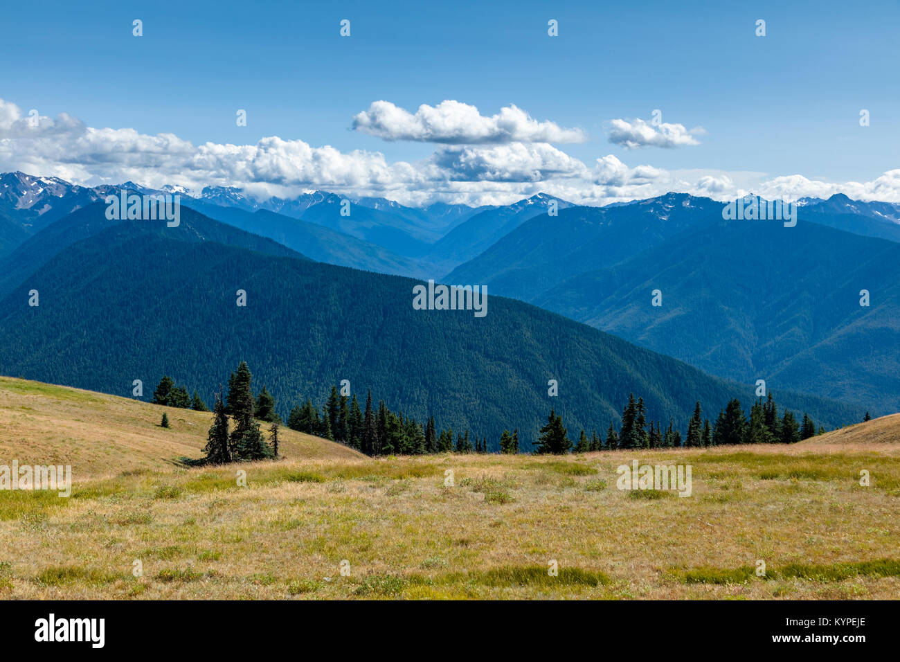 Nuages sur les montagnes olympiques d'Hurricane Ridge dans Oyympic Parc National de Washington Banque D'Images