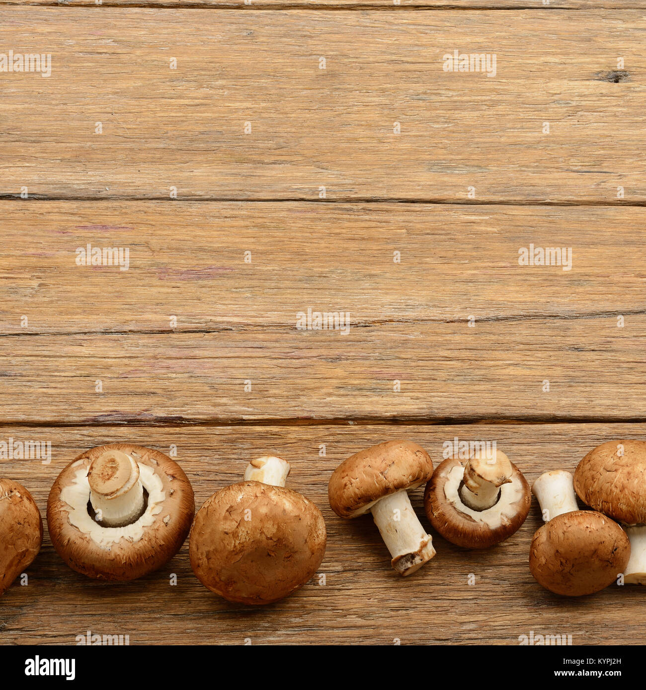 Champignon champignons sur de vieilles tables en bois. Vue d'en haut. Espace libre pour inscription. Banque D'Images