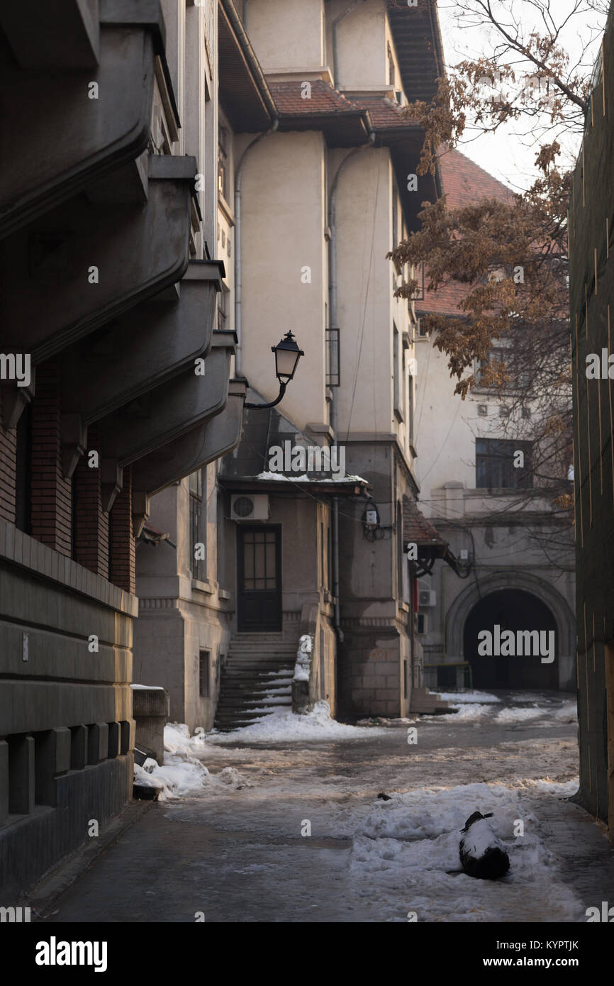 Pas dans la ruelle Banque de photographies et d’images à haute ...