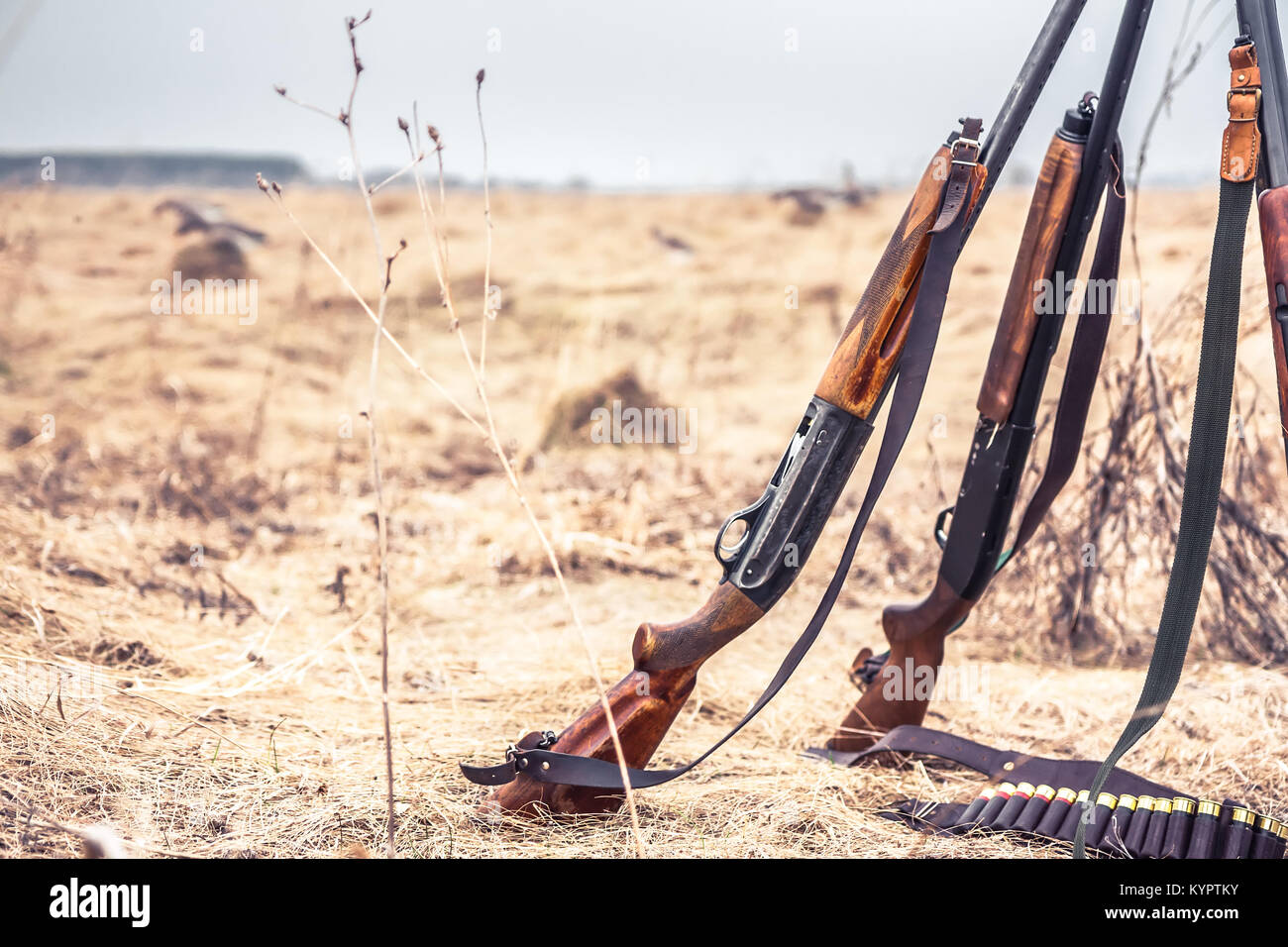 Scène de chasse avec des fusils de chasse et des munitions sur la courroie de l'herbe sèche en domaine rural pendant la saison de la chasse que la chasse en fond style far west Banque D'Images