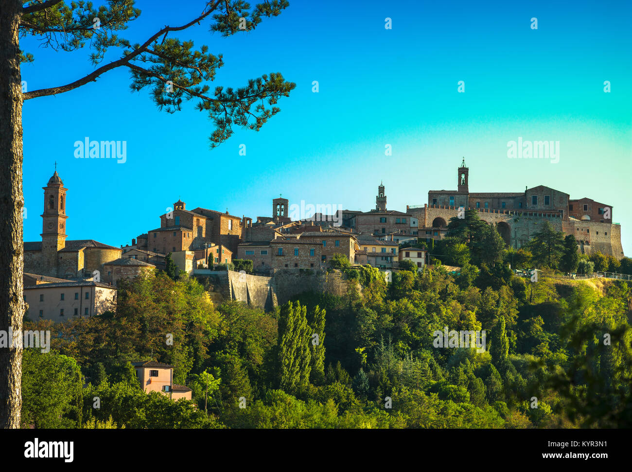 Village médiéval italien Montepulciano et pin. Sienne, Toscane Italie Europe. Banque D'Images