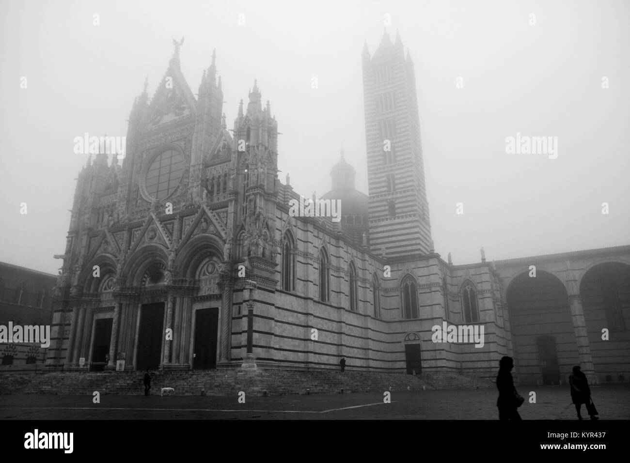 La Cathédrale de Sienne dans le brouillard d'hiver. Banque D'Images