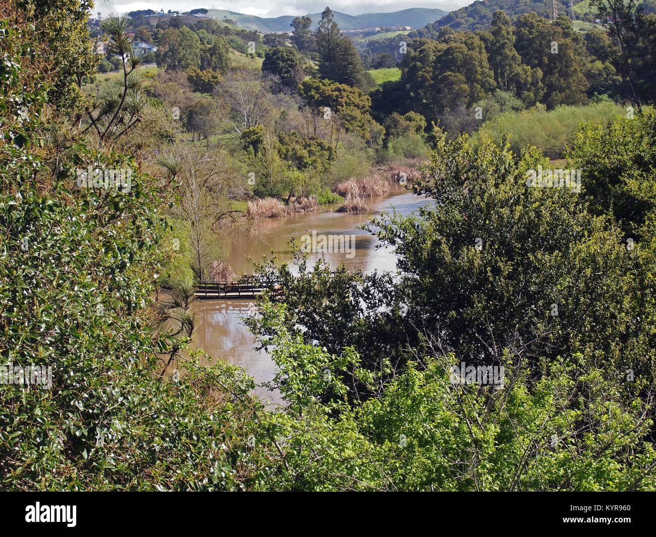 Don Castro Regional Recreation Area, San Lorenzo Creek Reservoir, Hayward, Californie Banque D'Images