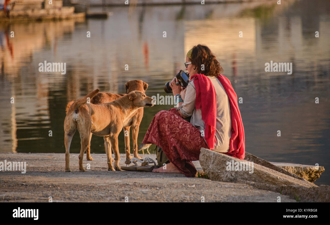 Le photographe et ses chiens en lac Pushkar, Pushkar, Rajasthan, India Banque D'Images