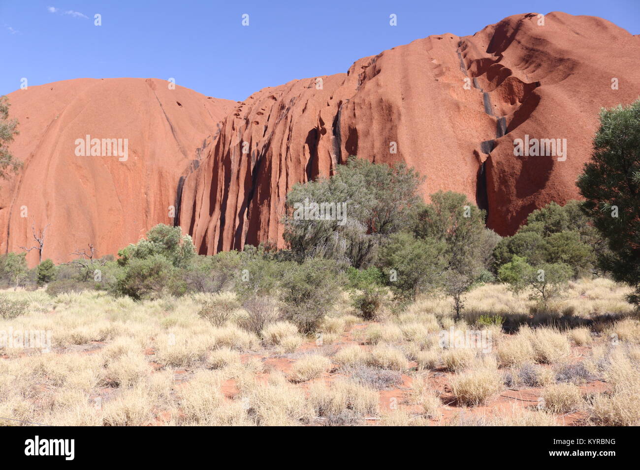 L'Uluru/Ayers Rock -- australie Banque D'Images
