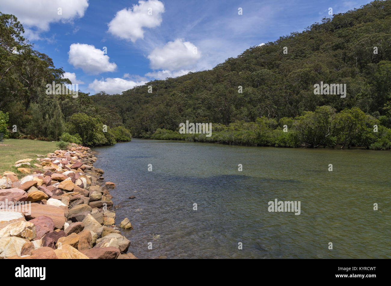 Apple Tree Creek de pique-nique dans la région de Ku Ring gai Chase National Park au nord de Sydney, Australie Banque D'Images