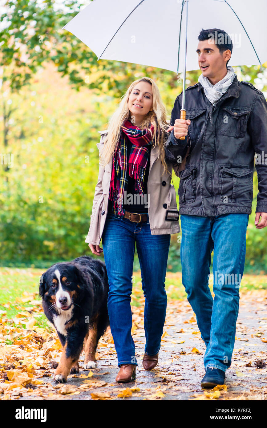 Femme et homme qui marche avec chien dans pluie d'automne Banque D'Images